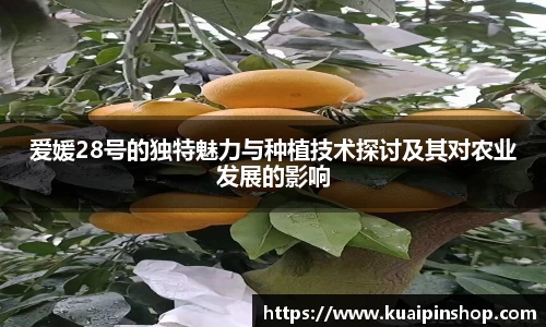 MK体育新版本