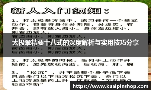 太极拳精要十八式的深度解析与实用技巧分享